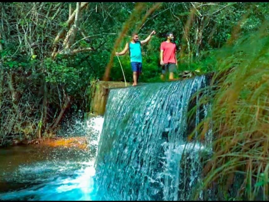 Nest Resorts Athirappilly Εξωτερικό φωτογραφία