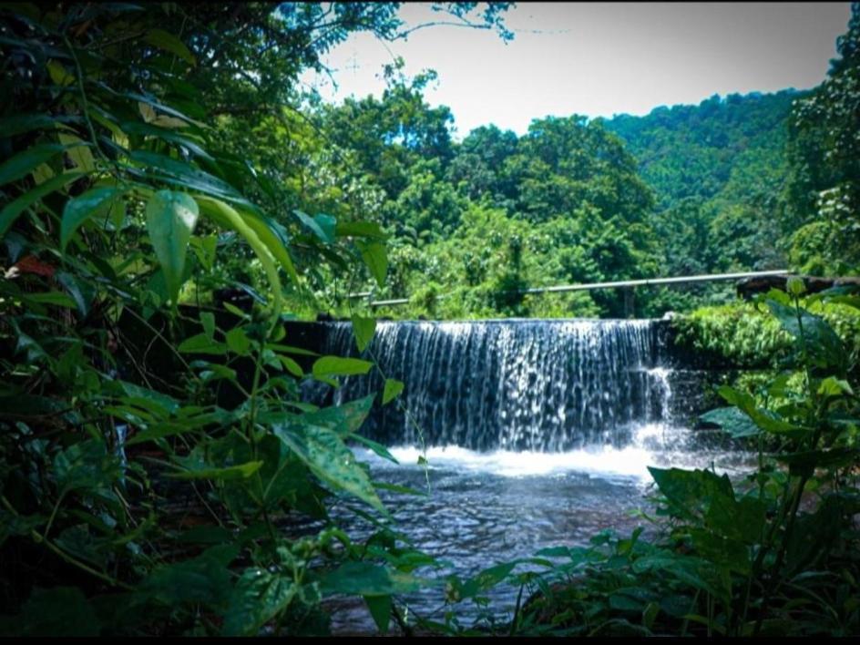 Nest Resorts Athirappilly Εξωτερικό φωτογραφία